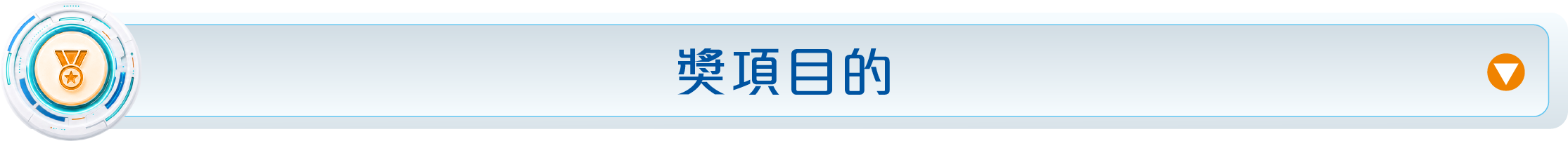 獎項目的